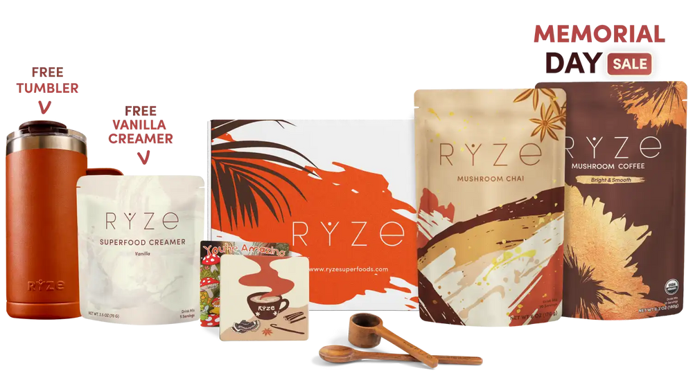 Boosted Chai Latte Bundle (Chai + Coffee) - Daily Coffee for Morning Routine
