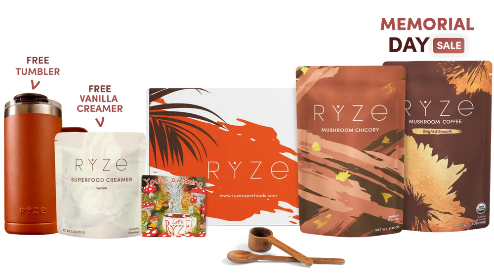 Lasting Energy Bundle (Chicory + Coffee) - Daily Ritual Coffee