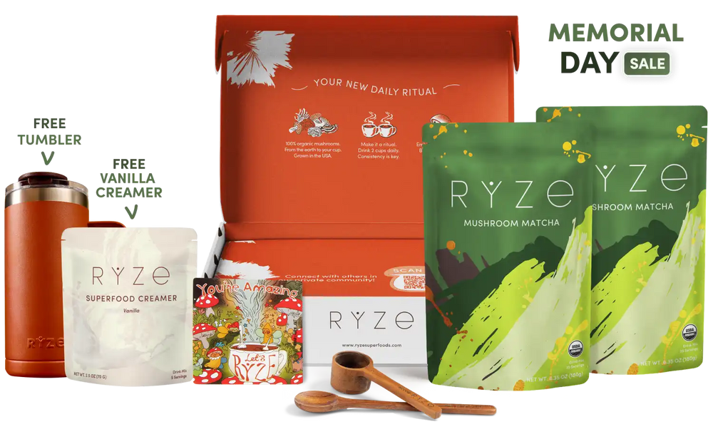 Mushroom Matcha Starter Kit (60 Servings) - Smart Coffee for Workday Focus