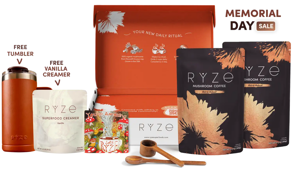 Mushroom Coffee Dark Roast Starter Kit (60 servings) - Daily Energy Coffee